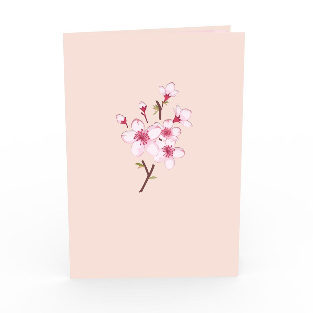 Kirschblütenbaum Pop-Up Karte