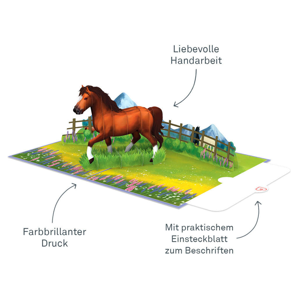 Pferd Pop-Up Karte